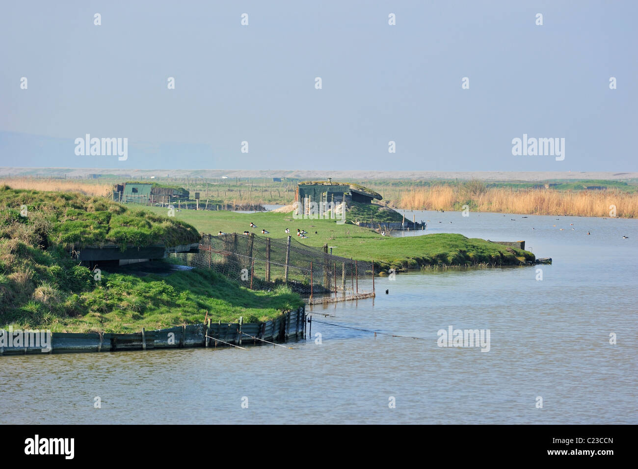 Blinde Jagd / hut entlang See für das Schießen Enten, der Baie de Somme, Picardie, Frankreich Stockfoto