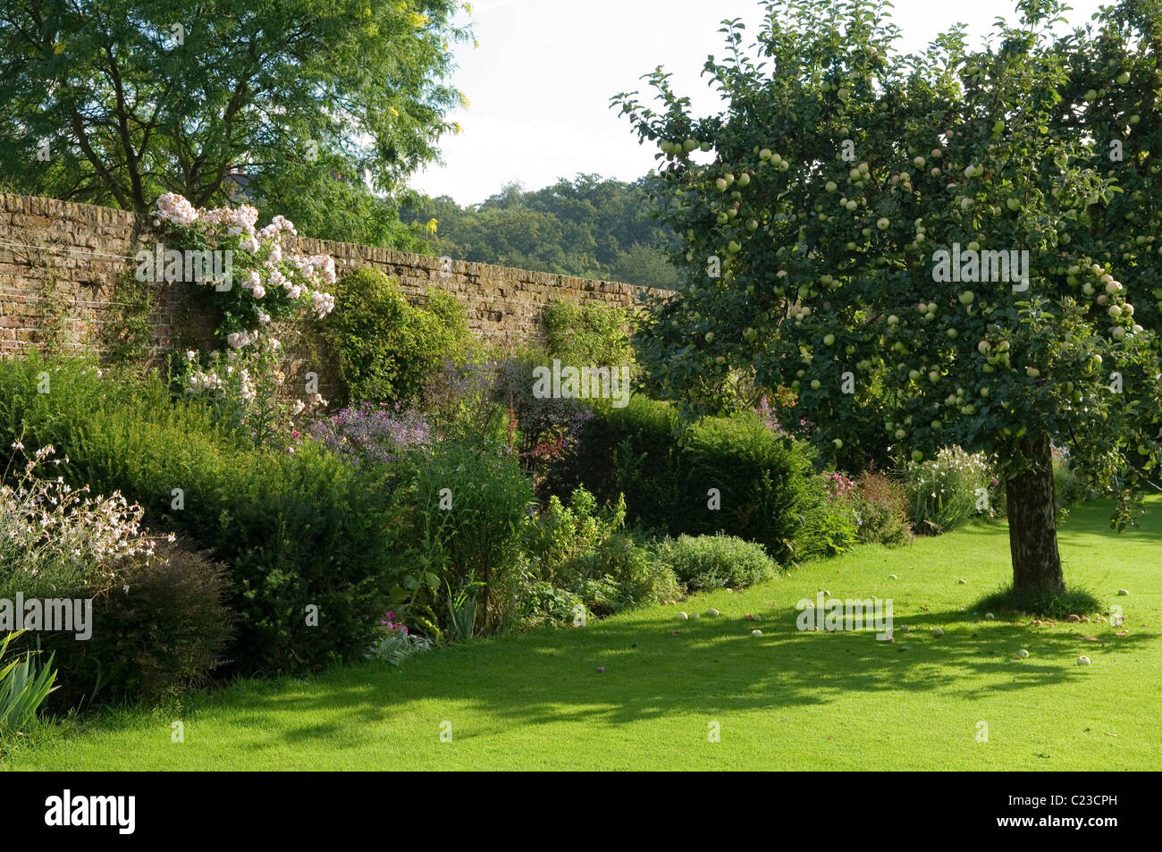 Ein Bett von ungezähmten einjährige und Stauden wachsen auf dem Gelände eines Landgutes Richmond Stockfoto