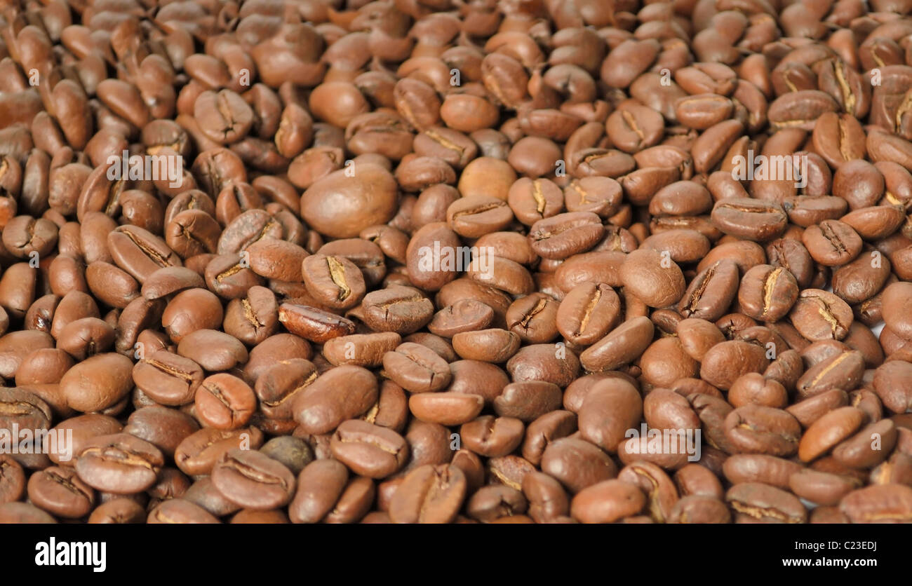 Kaffee Bohnen Stockfoto