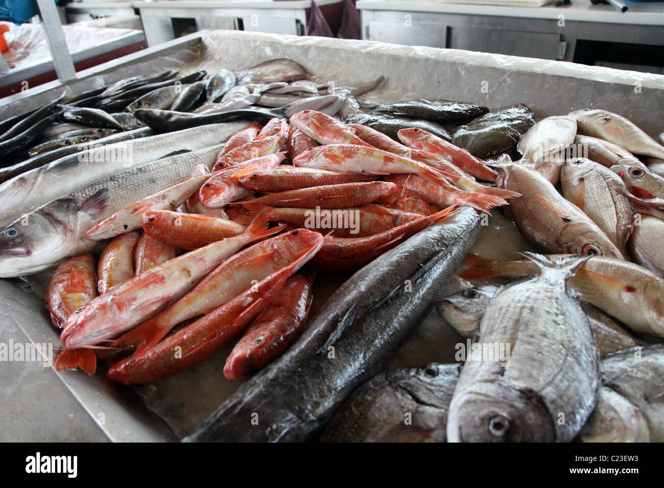 frisch gefangenen Fisch, Fischmarkt Aveiro, Portugal Stockfoto