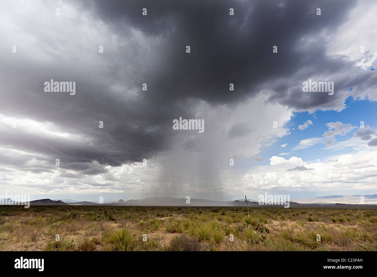Gewitterwolken mit Gewitter über Wüstengebiet Big Bend Nationalpark Texas USA Stockfoto