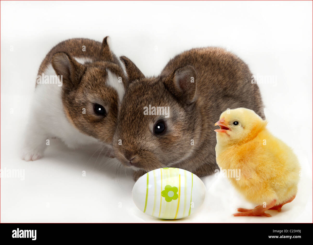 KANINCHEN UND LITTKE HUHN ZU OSTERN Stockfoto