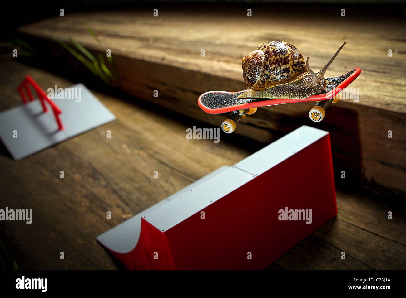 Ein Skateboard Schnecke. Die schnellste eines seiner Region! Stockfoto