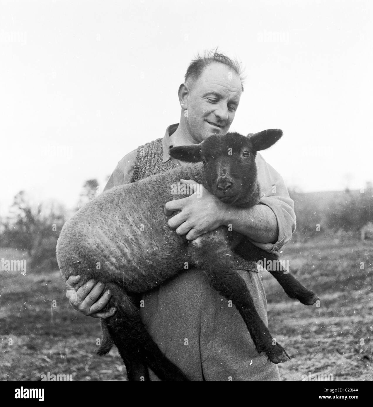 1950er Jahre, England. Ein stolzer Bauer hält eine neu abgeschert schwarze Schafe unter der Leitung in seine Arme in diesem historischen Bild von J Allan Bargeld. Stockfoto