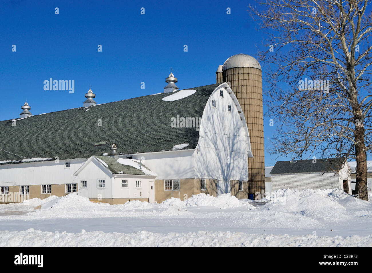 Einen mittleren Westen Winter scene als schwere Schnee bauen um eine Scheune auf einer Illinois Dairy Farm. South Elgin, Illinois, USA. Stockfoto