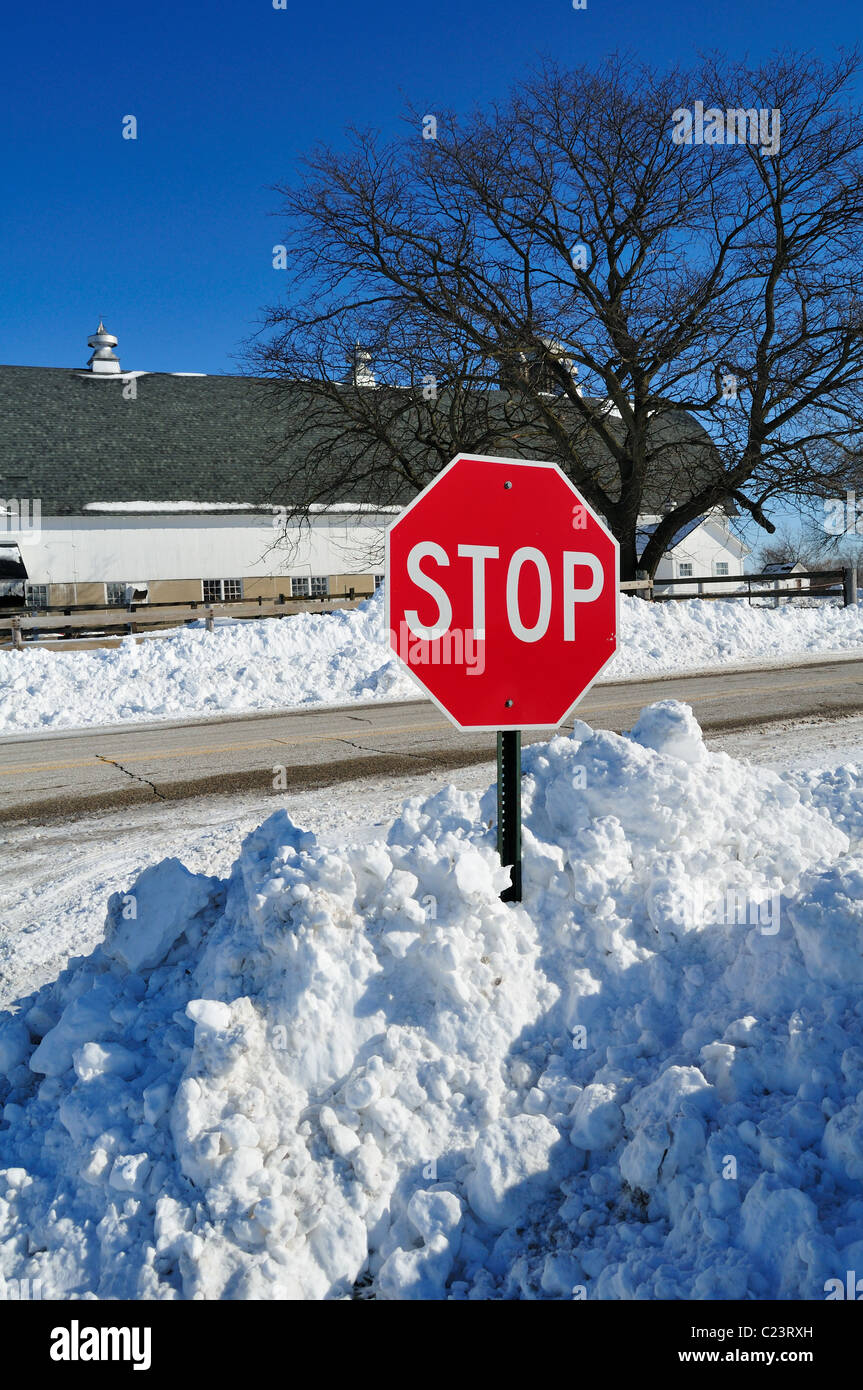 Schwere Schneefälle und Schneeverwehungen umliegenden ländlichen Stoppschild entlang eines Landes Fahrbahn. South Elgin, Illinois, USA Stockfoto