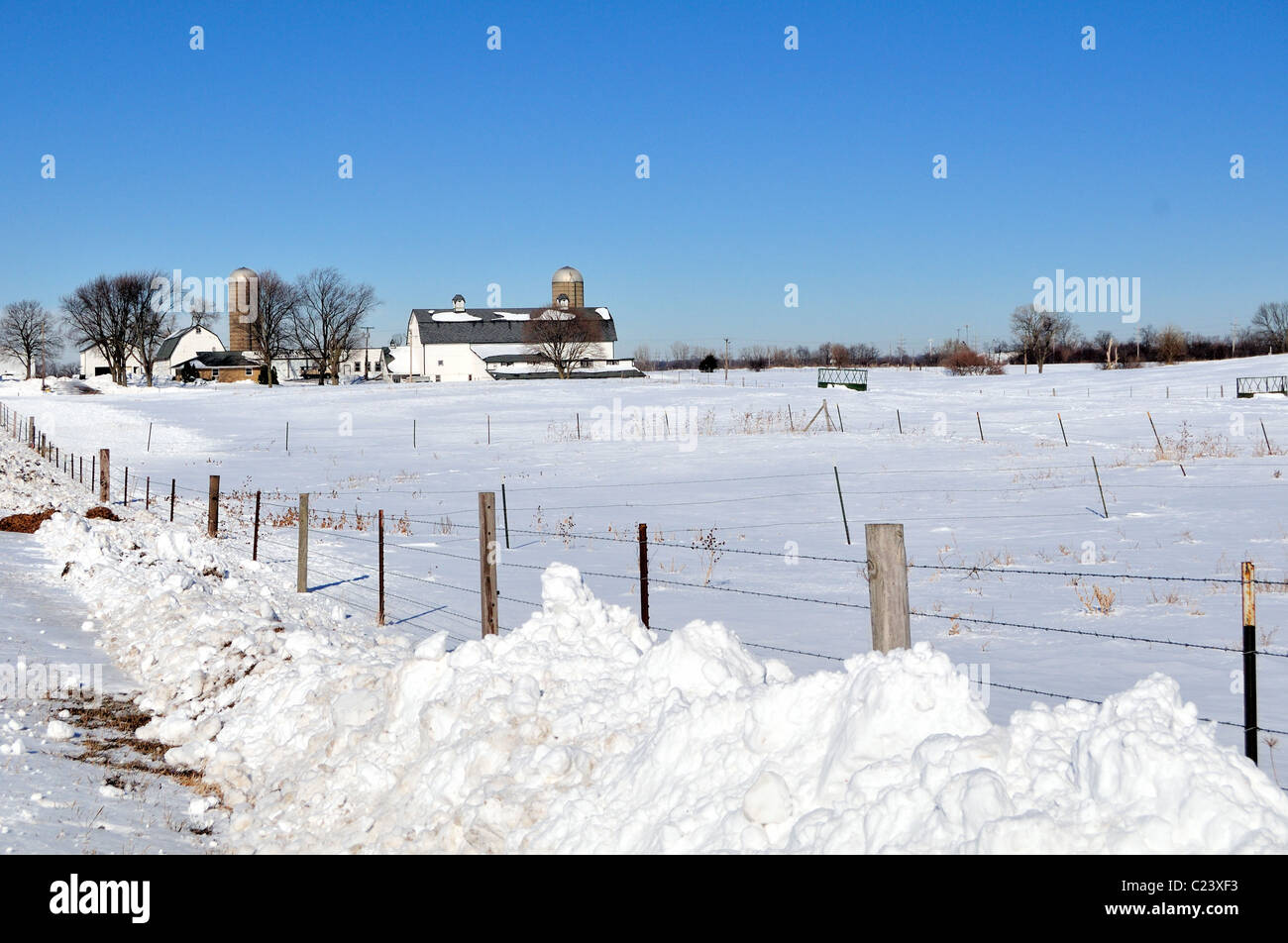 South Elgin, Illinois, USA. Eine Molkerei eingebettet mitten im Winter unter den schweren Schneefällen und Schneeverwehungen der jüngsten Sturm. Stockfoto