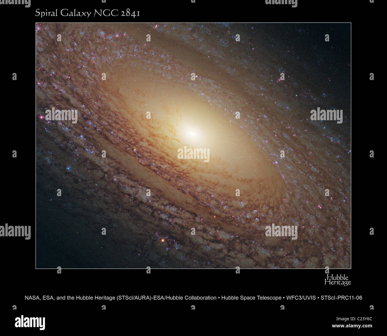 Majestätische Scheibe von Sternen Hubble Space Telescope offenbart und Staub Gassen in dieser Ansicht der Spiralgalaxie NGC 2841 Stockfoto Majestätische Scheibe von Sternen Hubble Space Telescope offenbart und Staub Gassen in dieser Ansicht der Spiralgalaxie NGC 2841 Stockfoto