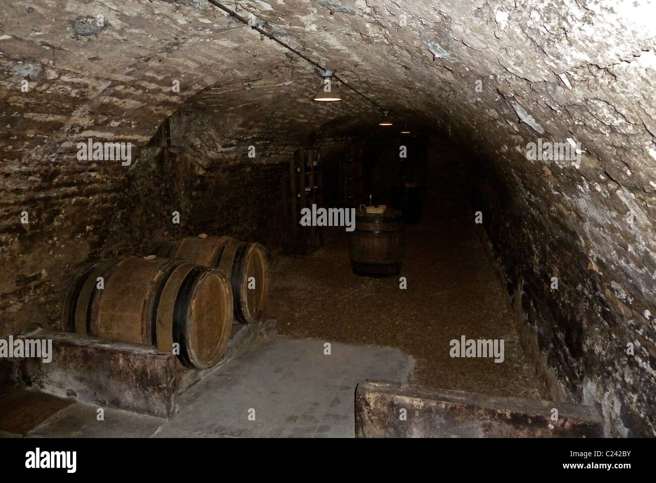 Höhlen, Keller Wein du Couvent des Cordeliers, Beaune Frankreich 110081 Chablis Stockfoto