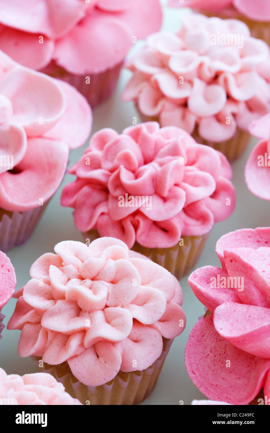 Blume-Muffins Stockfoto