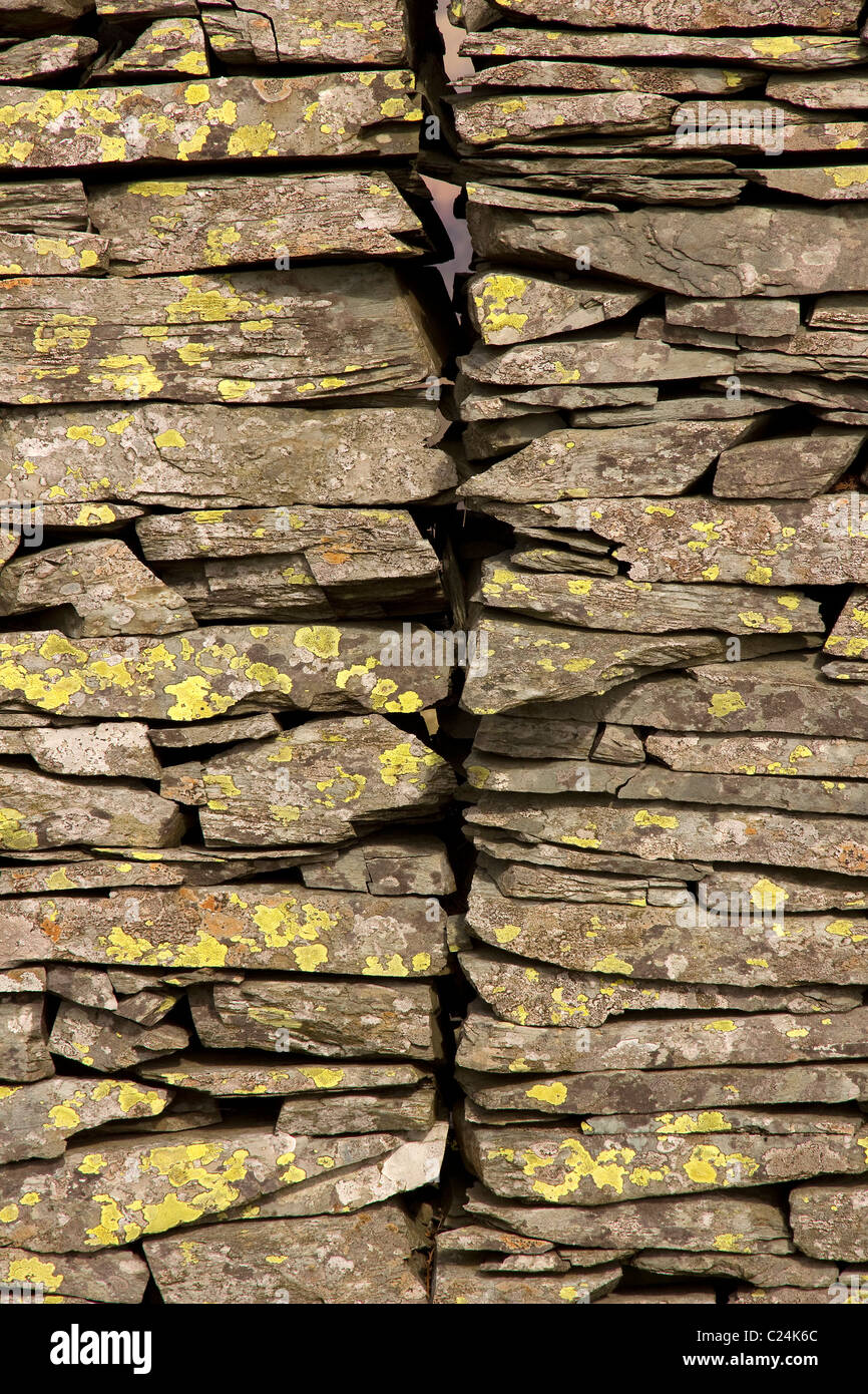 Schließen Sie sich der alten Schieferwand an Lingmoor Fell, Lake District, Cumbria, England, Großbritannien an Stockfoto