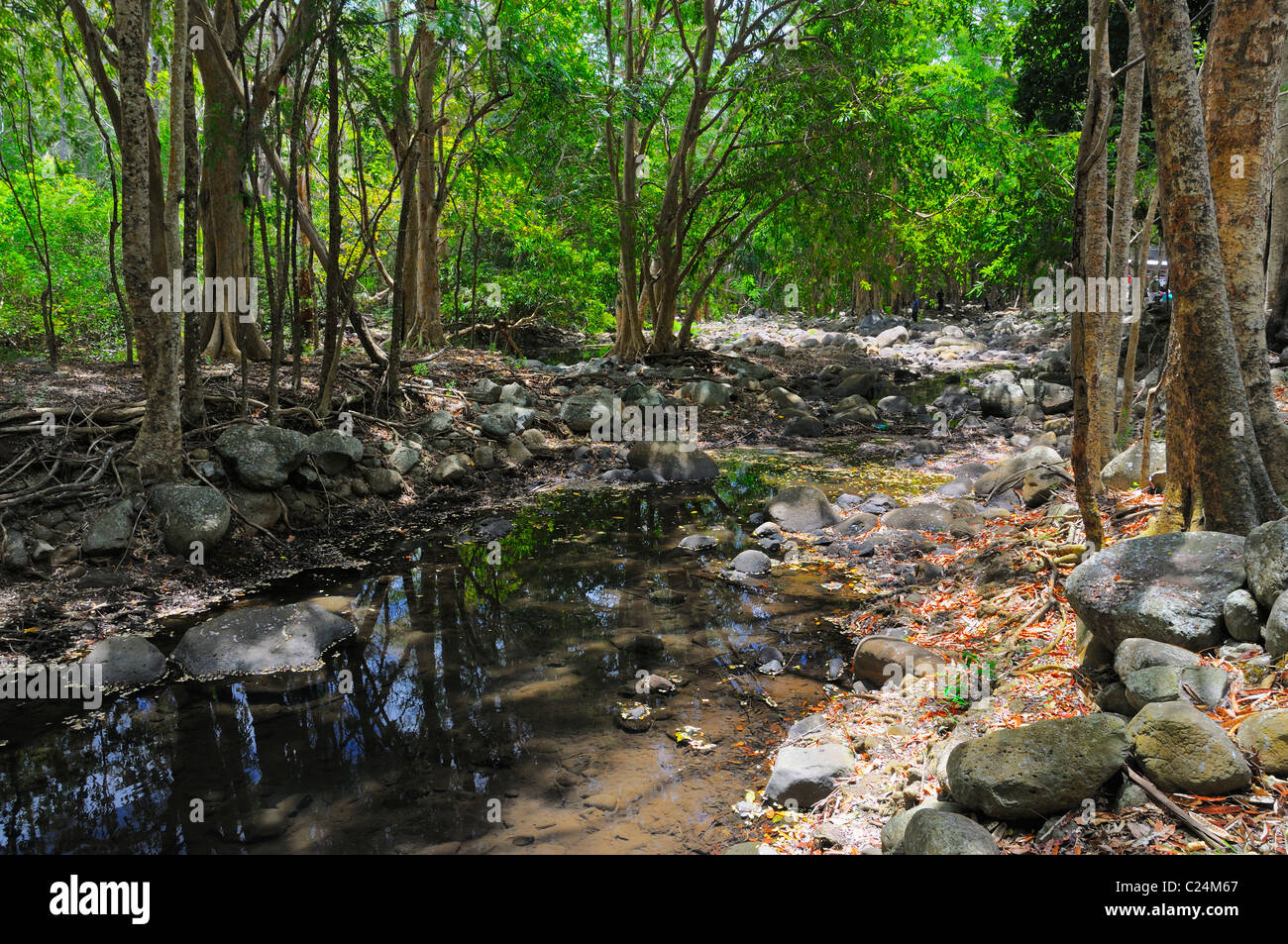 Fluss im Besucherzentrum des De La Rivière Noire National Park
