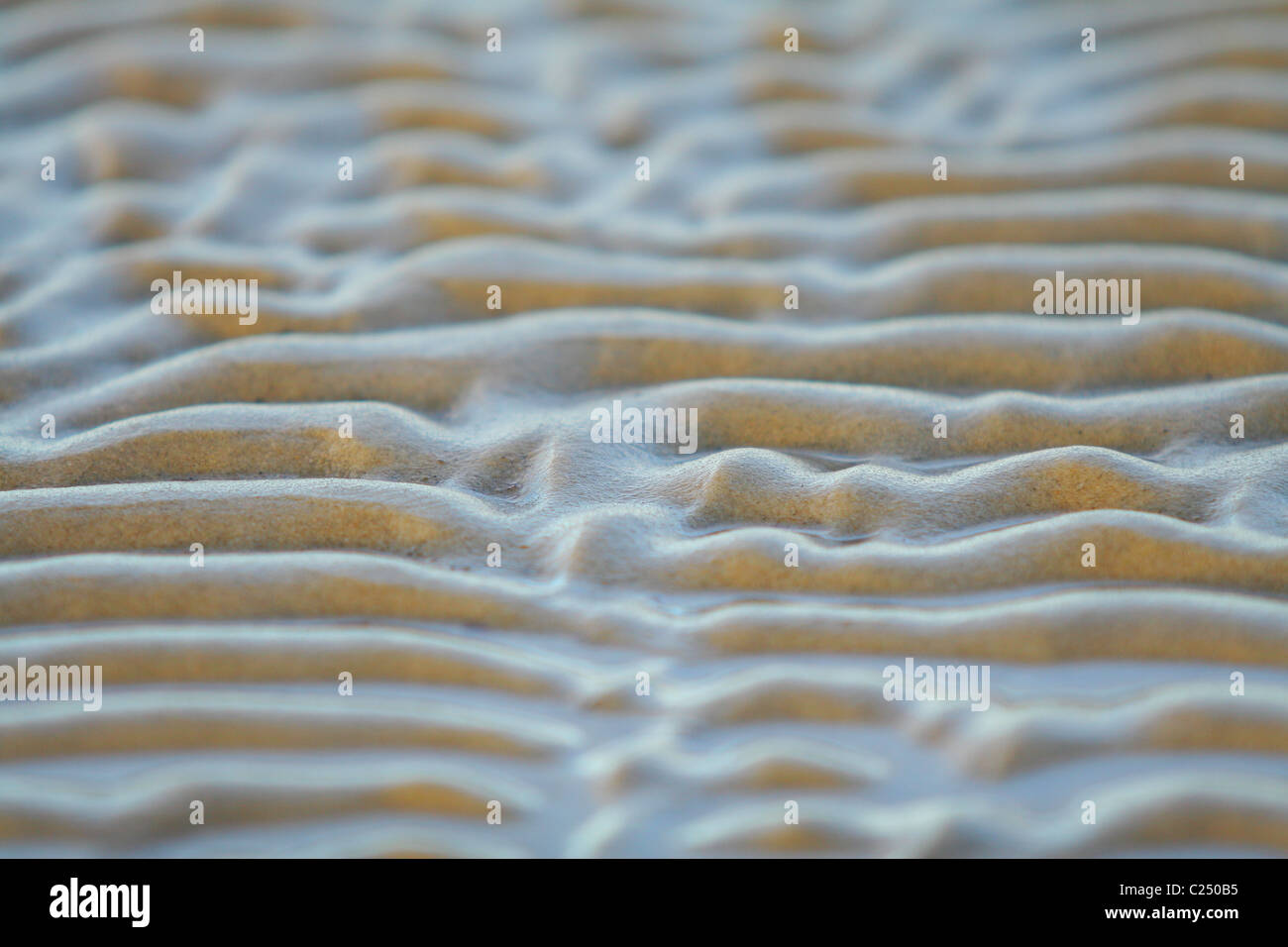 Abstrakt Nahaufnahme von Sand Wellen bei Ebbe. Jamal, Russland Stockfoto