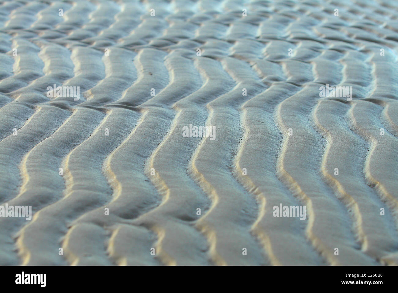 Abstrakt Nahaufnahme von Sand Wellen bei Ebbe. Jamal, Russland Stockfoto