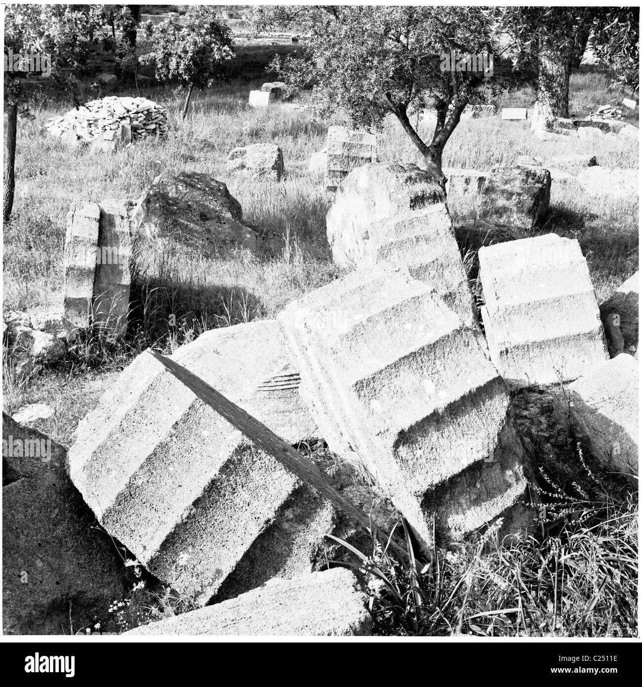 Griechenland der 1950er Jahre. Blick auf die Ruinen des Zeus-Tempel von Olympia. Stockfoto
