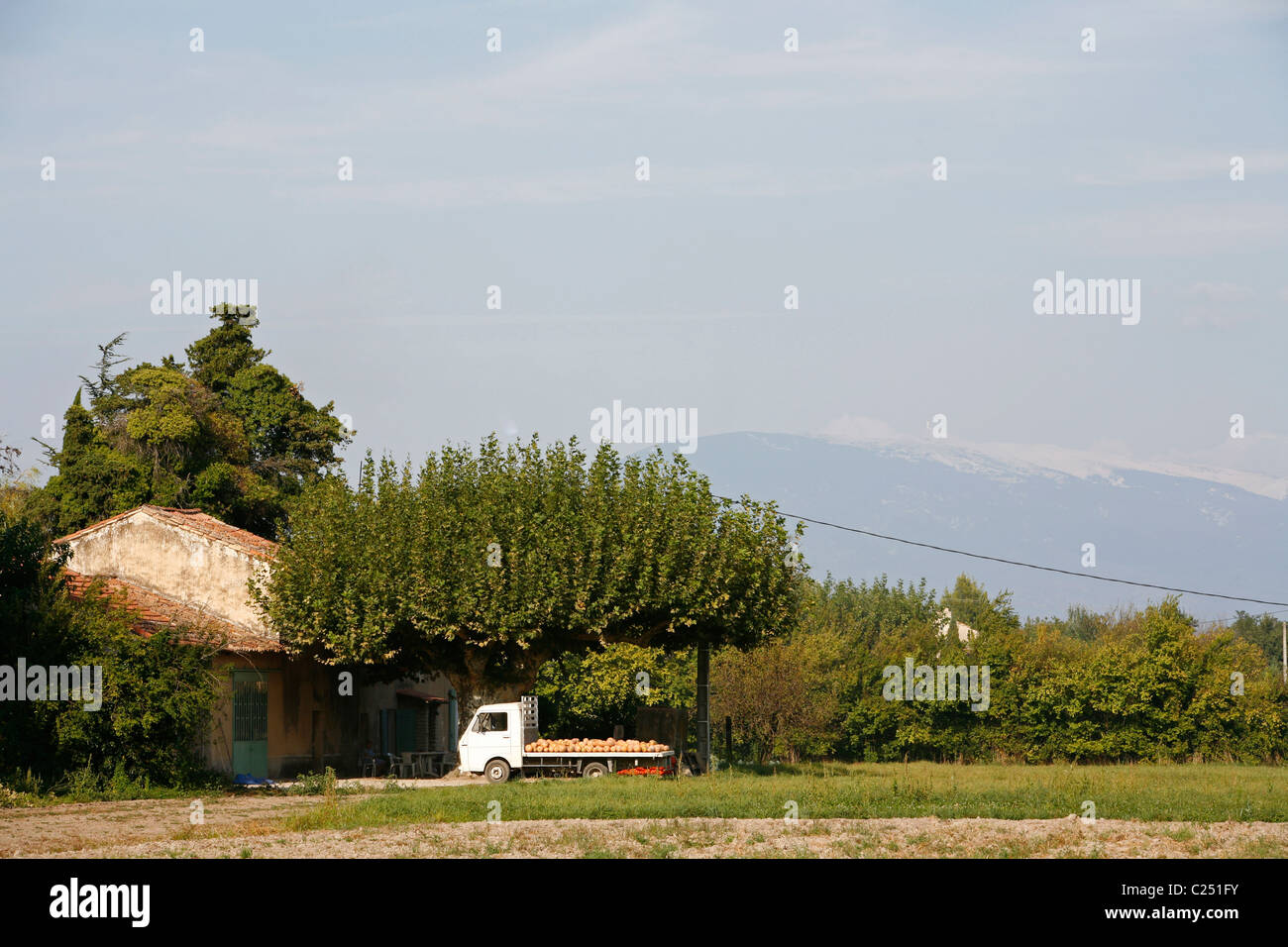 Bauernhaus in der Nähe von Le Thor mit dem Mont Ventoux im Hintergrund. Vaucluse, Provence, Frankreich. Stockfoto