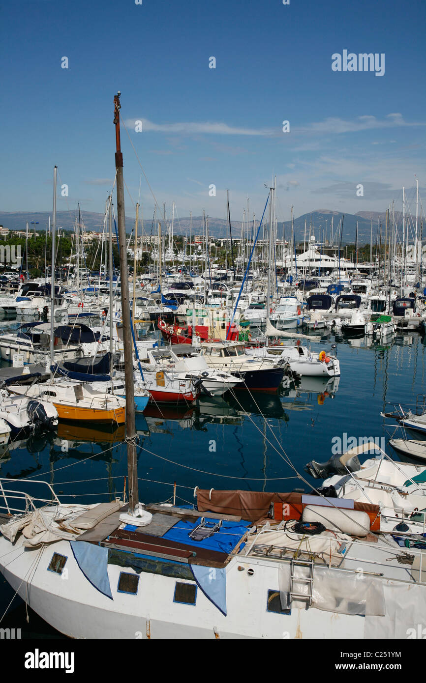 Yachten und Boote im Hafen Vauban, Antibes, Alpes Maritimes, Provence, Frankreich. Stockfoto