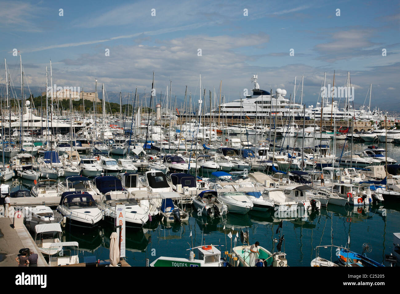 Yachten und Boote im Hafen Vauban, Antibes, Alpes Maritimes, Provence, Frankreich. Stockfoto