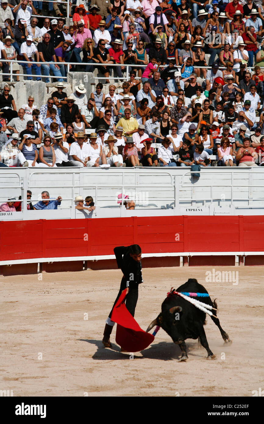 Stierkampf in der Les Arènes Roman Arena während der Feria du Riz, Reis-Festival, Arles, Provence, Frankreich. Stockfoto