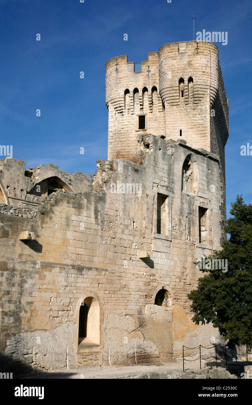 Der Pons De L'Orme Turm (Bergfried), Abbaye de Montmajour, Provence, Frankreich. Stockfoto