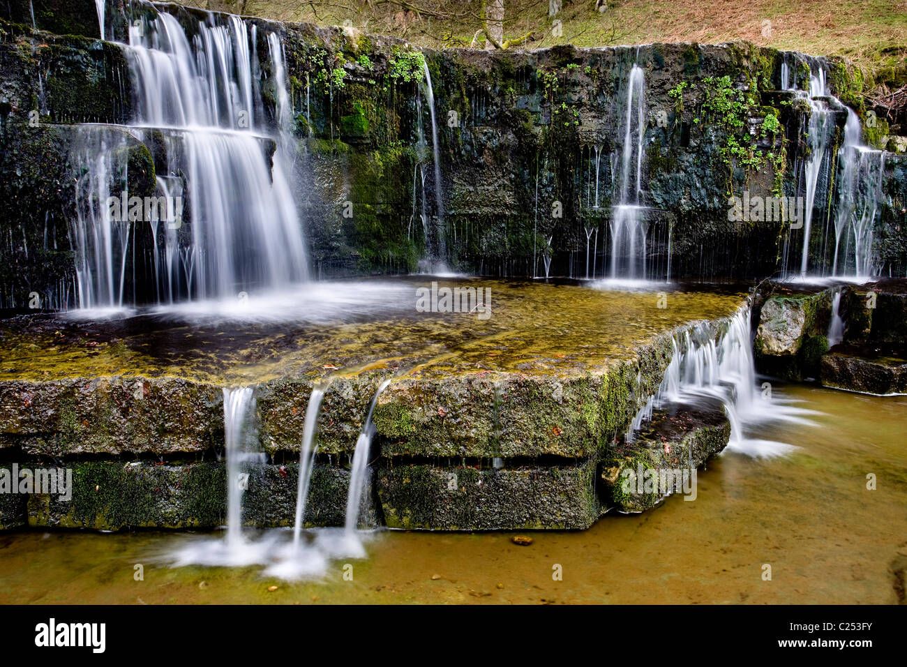 Wasserfall, Fluss Nidd nahe Lofthouse, obere Nidderdale, Yorkshire Dales Stockfoto