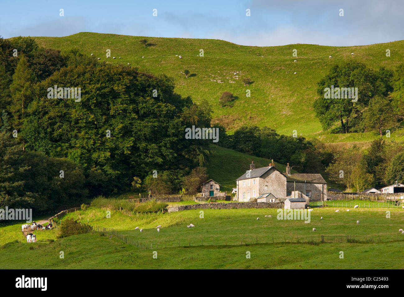 Bauernhaus auf Laund Hügel, Wald von Bowland, Lancashire Stockfoto