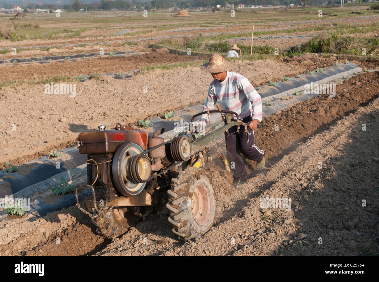 Bauer, der mit chinesischen Traktor im Feld pflügt. Hsipaw. Nördlichen Shan Staat. Myanmar Stockfoto