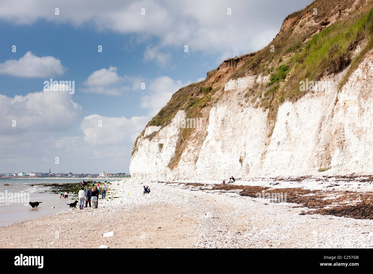 Kreidefelsen Sie am Dykes Ende, in der Nähe von Flamborough, East Yorkshire Stockfoto