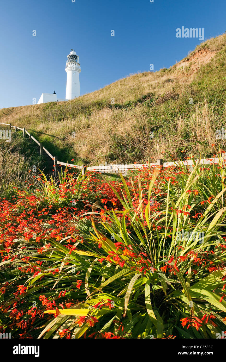 Der Leuchtturm am Flamborough Head vom Küstenweg, Flamborough, East Yorkshire Stockfoto