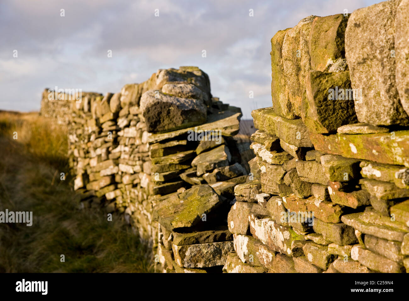 Blick über Haworth Moor in der Nähe von Top-Withins auf der Pennine Way Stockfoto