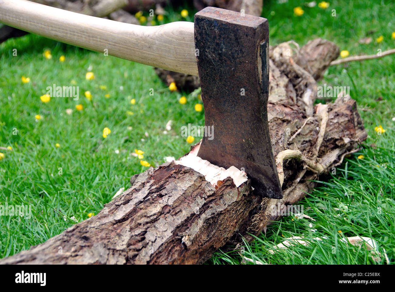 Holz-Chopping-Holzfäller Axt stecken in einem Baum-Protokoll auf dem grünen Rasen mit einem Haufen Brennholz im Hintergrund Stockfoto