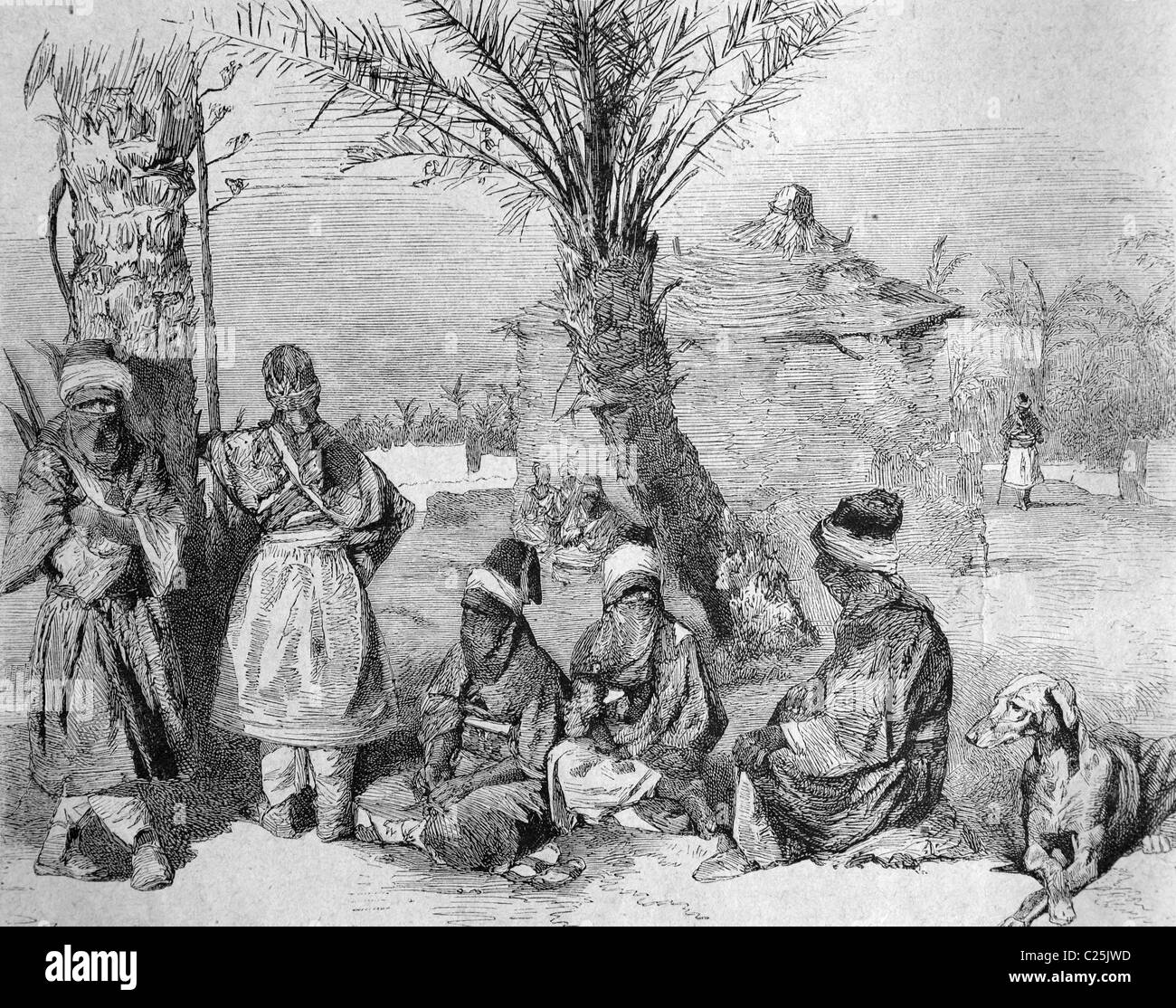 Ein Tuareg-Camp in einer Oase der Sahara, Algerien, historische Darstellung, 1877 Stockfoto