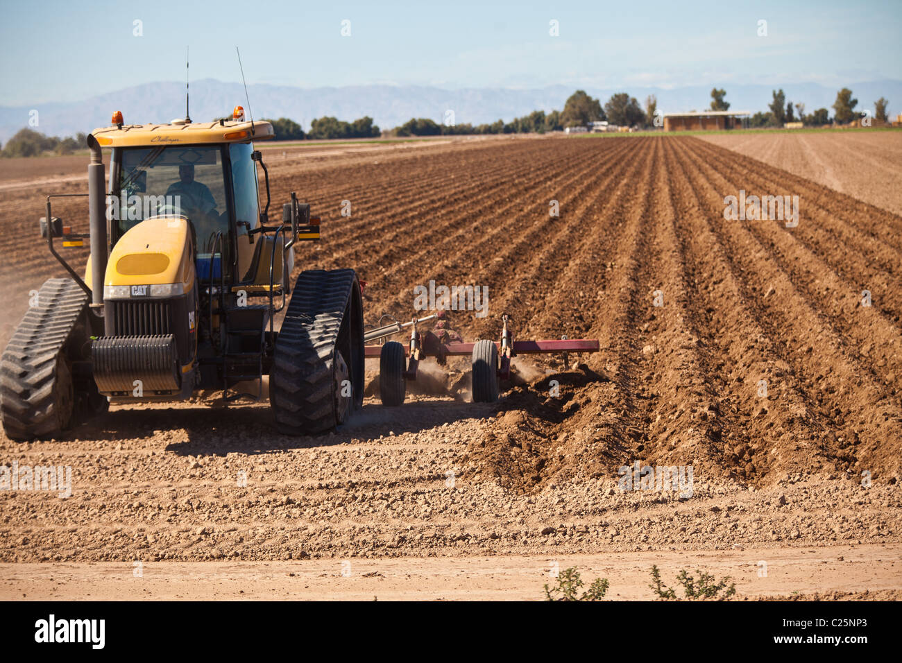 Landwirtschaftliche Zugmaschine pflügt ein Feld im Imperial Valley Niland, CA. Stockfoto