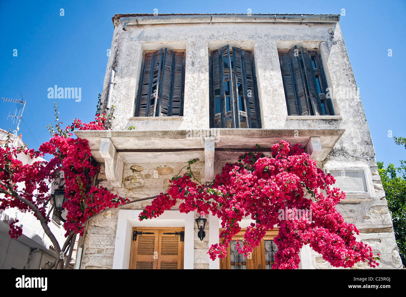 Fassade des ein mediterranes Haus mit blühenden Baum Stockfoto