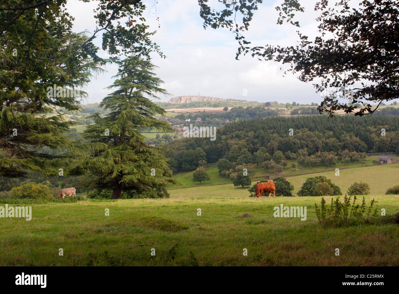 Blick Richtung Crich, Derbyshire, England Stockfoto