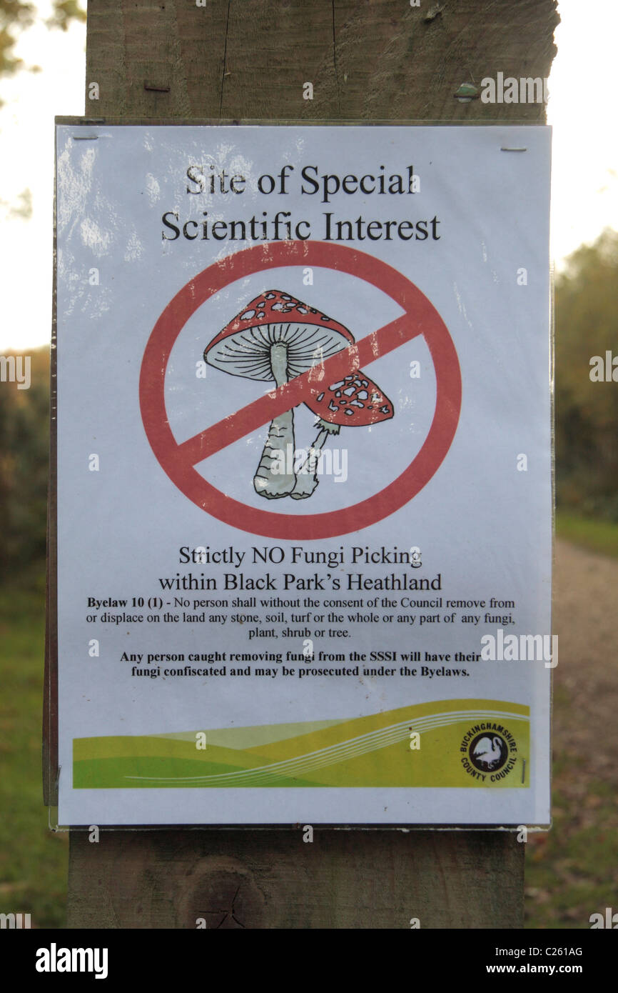 Schild Warnung Parkbesucher einer Website Od special scientific Interest in Black Park Country Park, Wexham, UK. Stockfoto