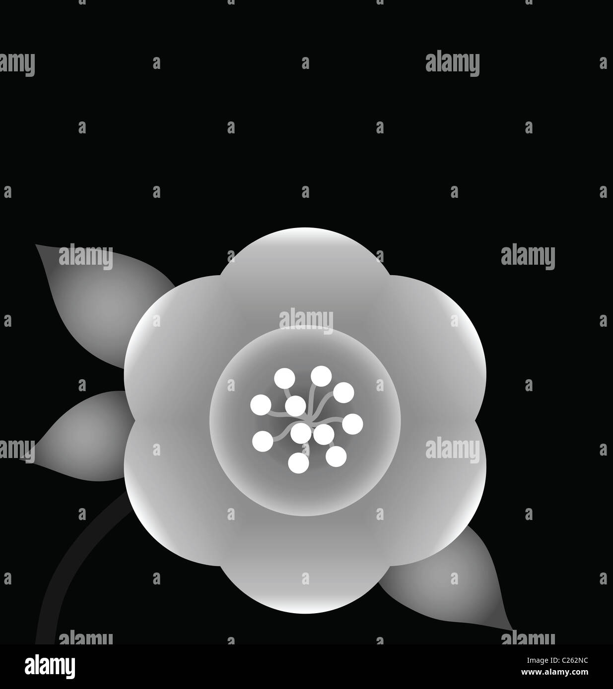 Konzeptionelle monochrome weiße Blume auf schwarzem Hintergrund isoliert Stockfoto