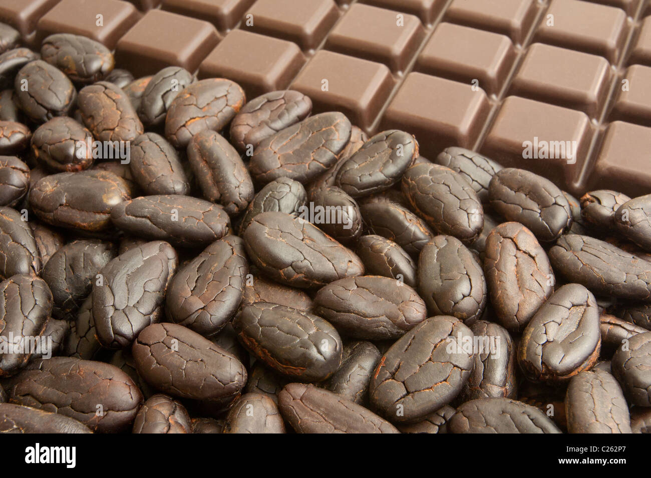 Tafel Schokolade und Kakaobohnen Stockfoto