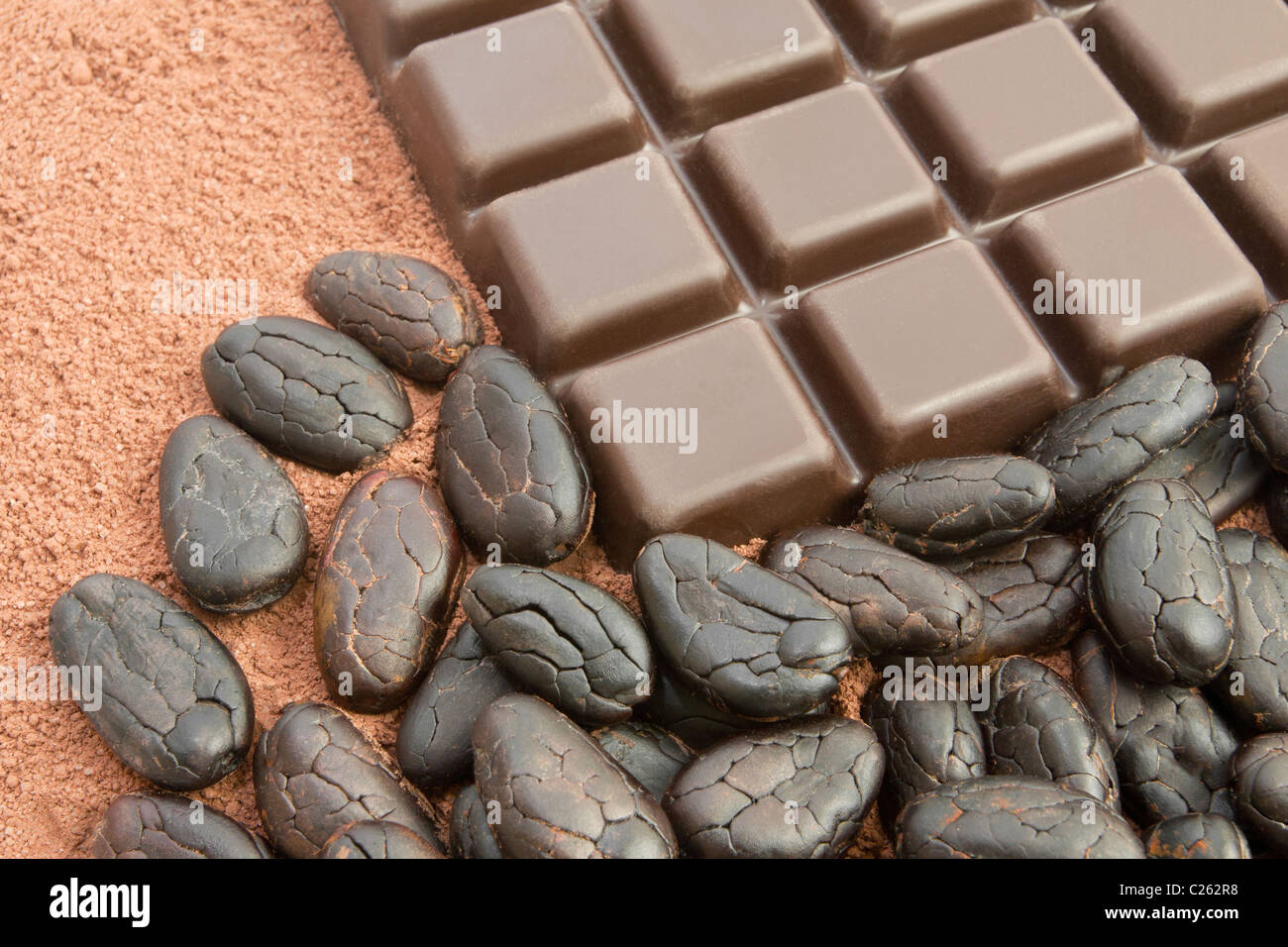 Tafel Schokolade, Kakaopulver und Kakaobohnen Stockfoto