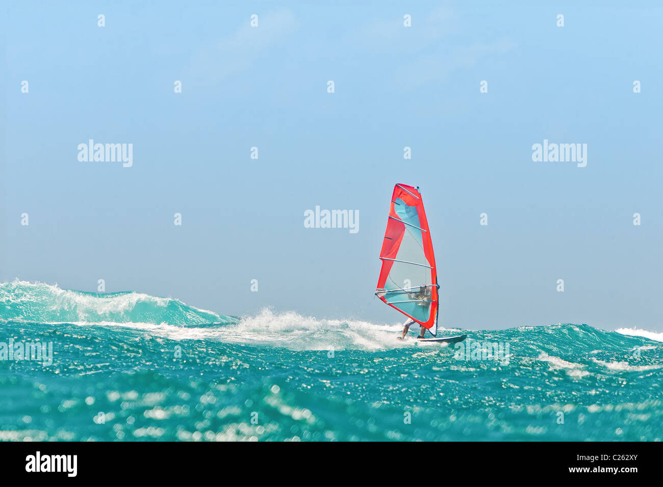 Windsurf-Weltmeister spielen in den Wellen Stockfoto