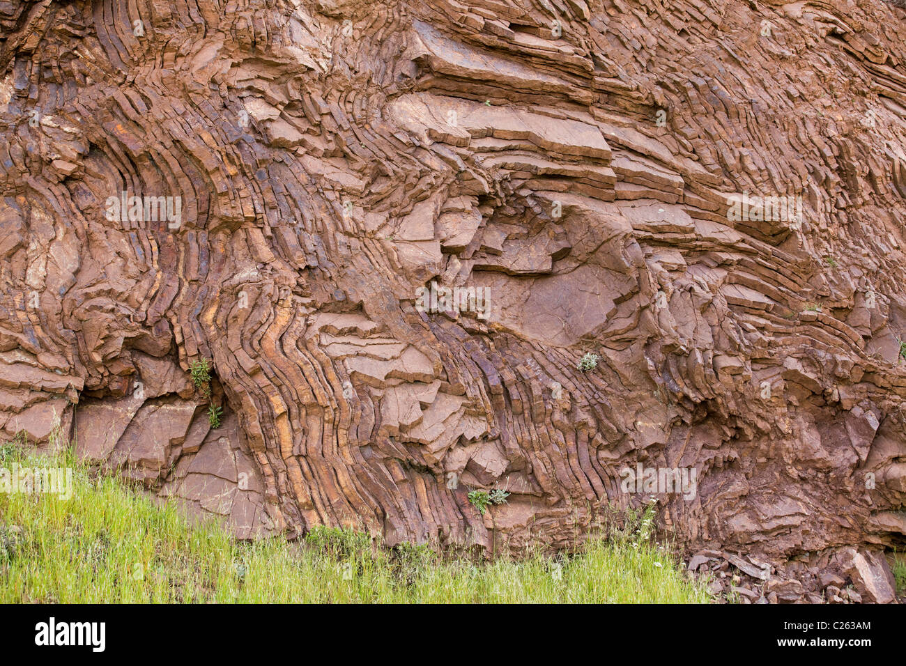 Exponierten Gesteinsschichten gefaltet, Eisen reichen Hornstein in Nord-Kalifornien Küste Stockfoto