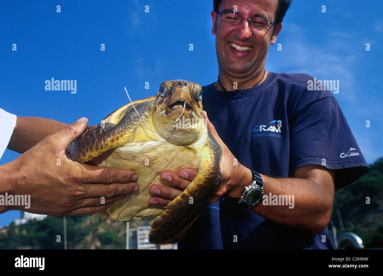 Lokale Fischer liefern eine Schildkröte Caretta, Mitglied C.R.A.M. für die Gewinnung von einem Angelhaken. Blane. Provinz Barcelona. Spanien Stockfoto