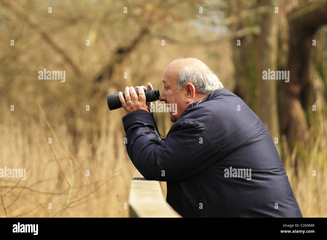 Ein Mann, der Blick durch ein Fernglas in einem Vogelschutzgebiet in Arundel, West Sussex, England. Stockfoto