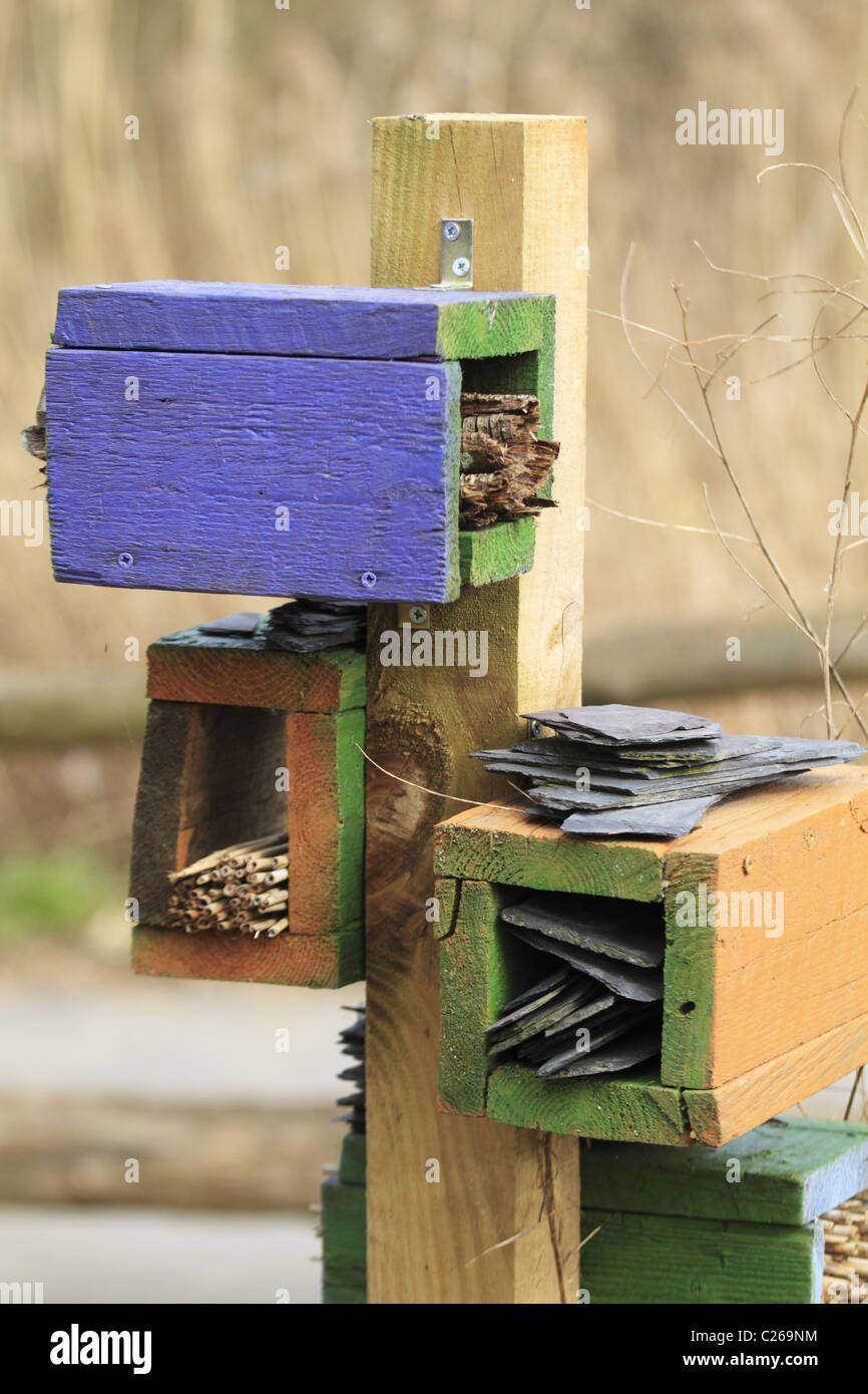 Lebensraum-Kreation für Bumble Bees und andere Wirbellose. Stockfoto
