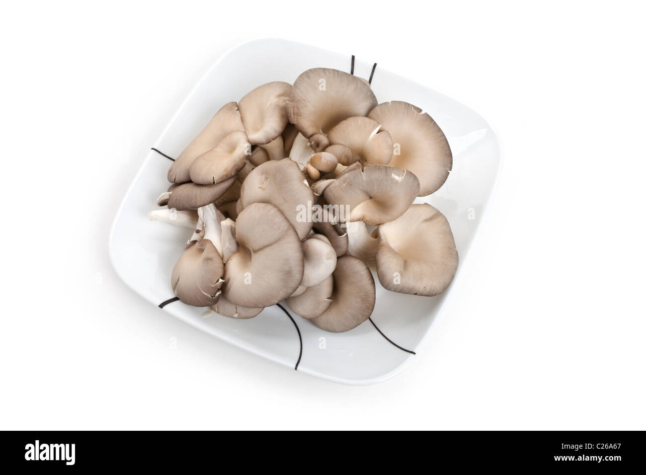 Pilz auf Platte hautnah Stockfoto