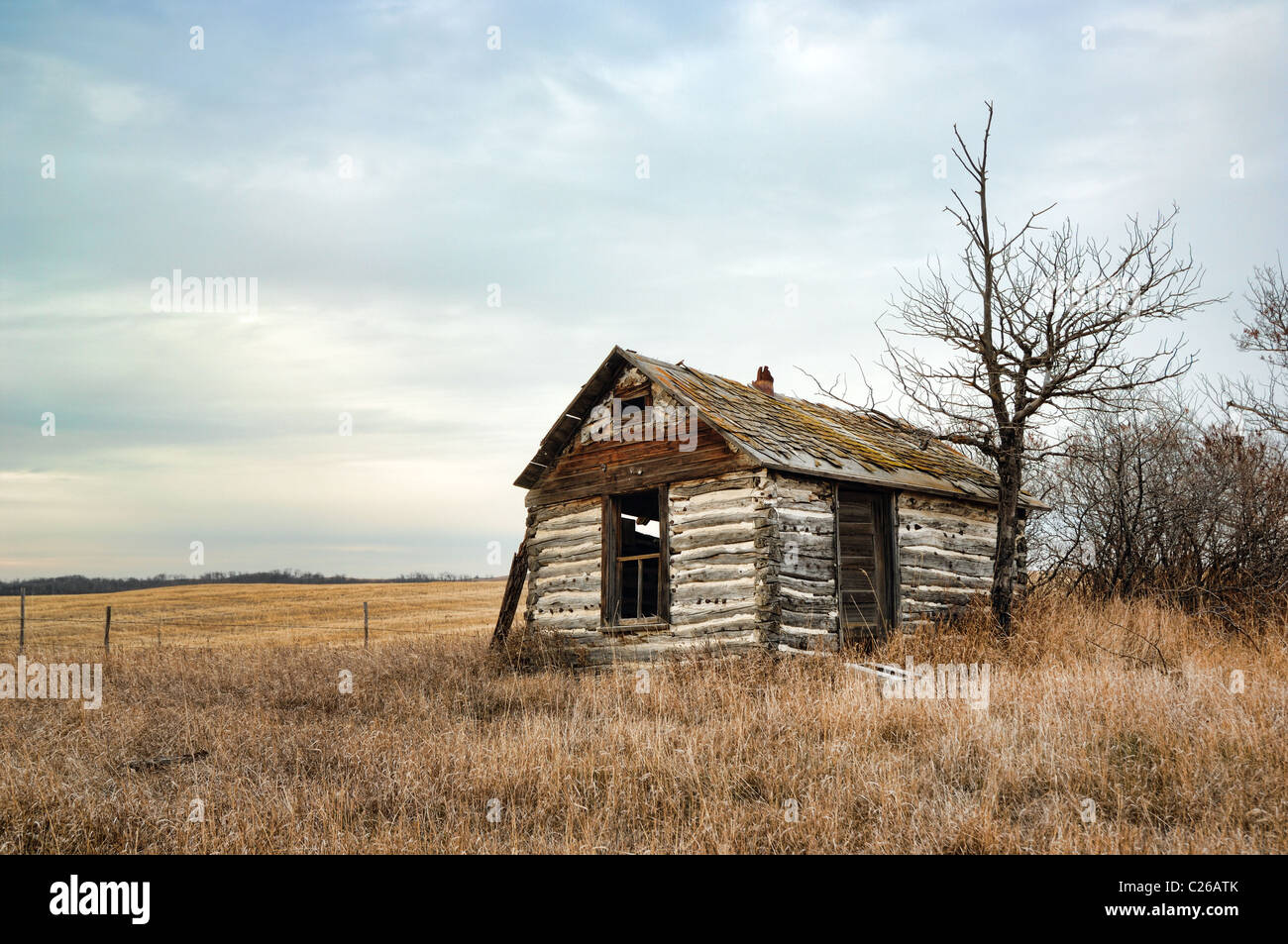 Eine alte verlassene Gehöft Hütte in Alberta, Kanada. Stockfoto