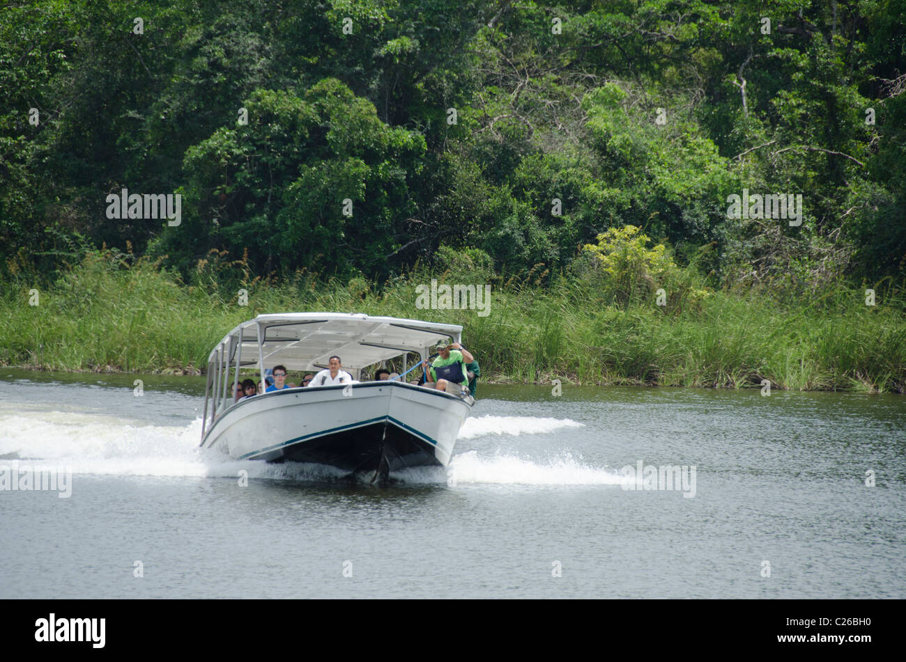 Mittelamerika, Belize. Touristenboot am New River in der Nähe von Belize City. Stockfoto