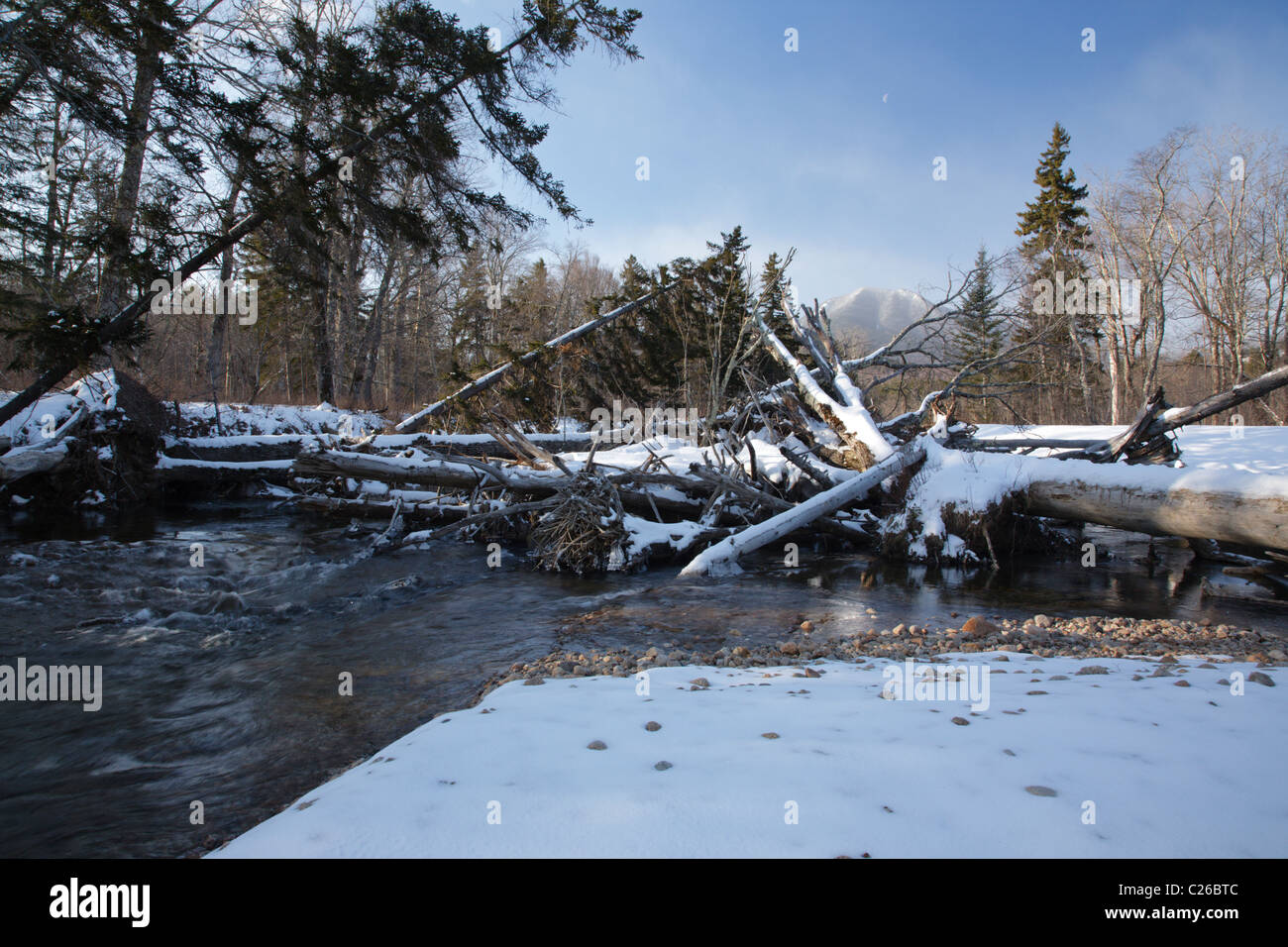 Flussufer-Erosion entlang der Swift River in den White Mountains, New Hampshire, USA. Mount Passaconaway ist aus in der Ferne Stockfoto