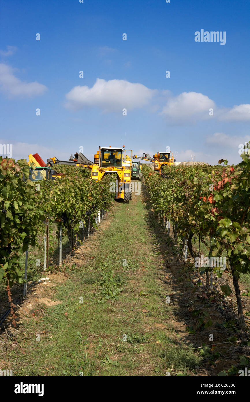 Mähdrescher auf einem Weingut in Raimat LLeida Spanien Stockfoto