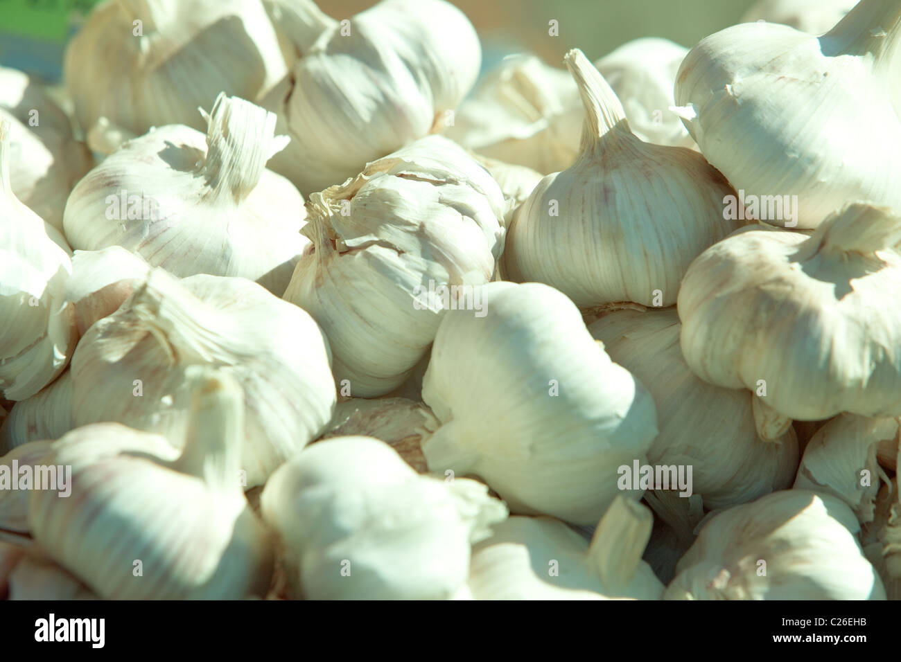 Frischer Knoblauch Zwiebeln zum Verkauf. Salisbury Markt Wiltshire England UK Stockfoto